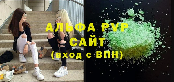 ECSTASY Алзамай