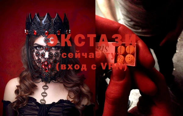 ECSTASY Алзамай